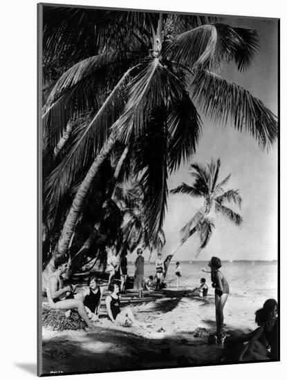 Relaxing under the Palms at Tahiti Beach, Coral Gables, Florida, March 23Rd, 1926-null-Mounted Photographic Print