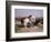 Relay Hunting, 1887-Rosa Bonheur-Framed Giclee Print