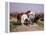 Relay Hunting, 1887-Rosa Bonheur-Framed Premier Image Canvas