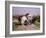 Relay Hunting, 1887-Rosa Bonheur-Framed Giclee Print