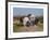 Relay Hunting-Rosa Bonheur-Framed Premium Giclee Print