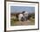 Relay Hunting-Rosa Bonheur-Framed Premium Giclee Print