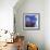 Relentless Light, 2012-Helen White-Framed Giclee Print displayed on a wall