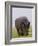 Relentless-Susann Parker-Framed Photographic Print