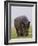 Relentless-Susann Parker-Framed Photographic Print