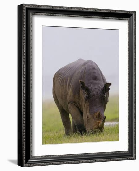 Relentless-Susann Parker-Framed Photographic Print