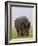 Relentless-Susann Parker-Framed Photographic Print