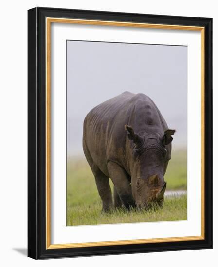 Relentless-Susann Parker-Framed Photographic Print