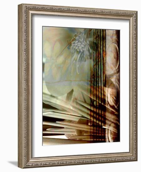 Relic Fan I-Danielle Harrington-Framed Photographic Print