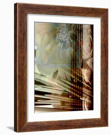 Relic Fan I-Danielle Harrington-Framed Photographic Print