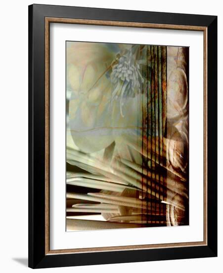 Relic Fan I-Danielle Harrington-Framed Photographic Print