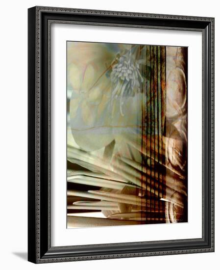 Relic Fan I-Danielle Harrington-Framed Photographic Print