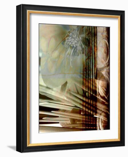 Relic Fan I-Danielle Harrington-Framed Photographic Print