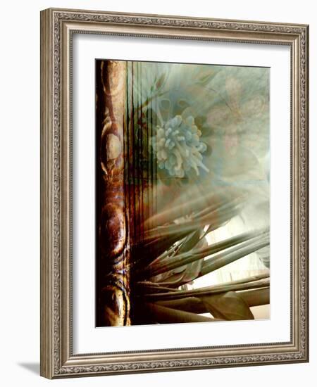 Relic Fan II-Danielle Harrington-Framed Photographic Print