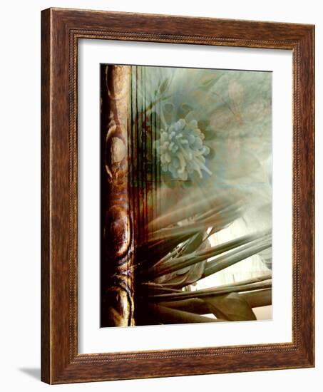 Relic Fan II-Danielle Harrington-Framed Photographic Print