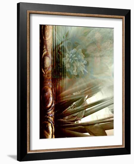 Relic Fan II-Danielle Harrington-Framed Photographic Print