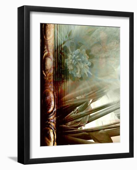 Relic Fan II-Danielle Harrington-Framed Photographic Print