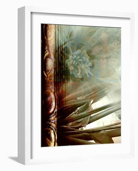 Relic Fan II-Danielle Harrington-Framed Photographic Print