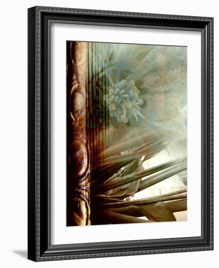 Relic Fan II-Danielle Harrington-Framed Photographic Print