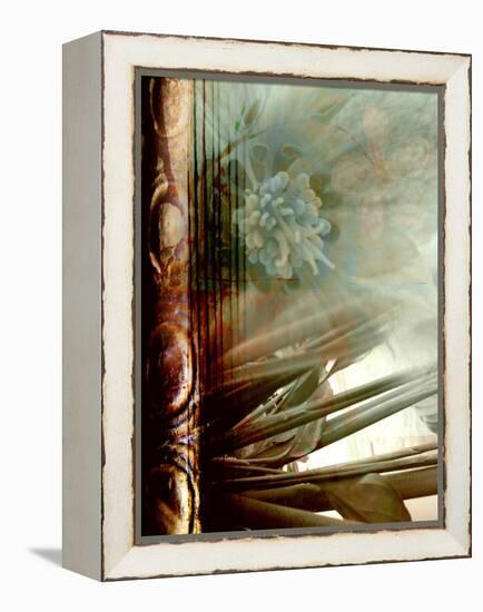 Relic Fan II-Danielle Harrington-Framed Premier Image Canvas