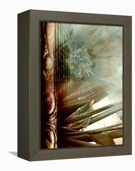 Relic Fan II-Danielle Harrington-Framed Premier Image Canvas