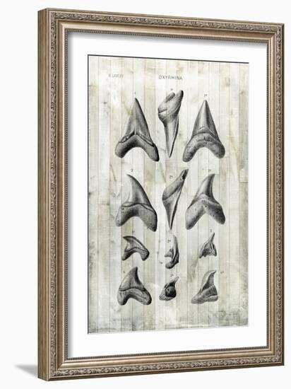 Relic Hunter II-Vision Studio-Framed Art Print