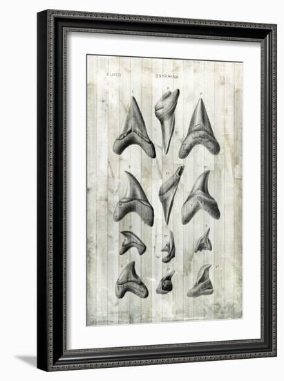 Relic Hunter II-Vision Studio-Framed Art Print