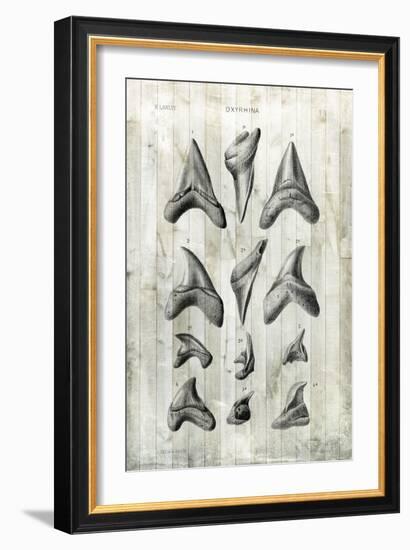 Relic Hunter II-Vision Studio-Framed Art Print