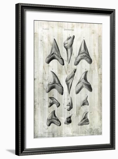 Relic Hunter II-Vision Studio-Framed Art Print