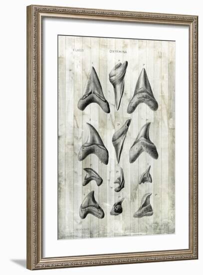 Relic Hunter II-Vision Studio-Framed Art Print