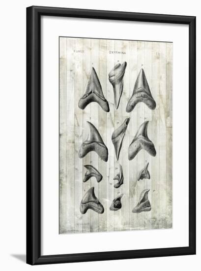 Relic Hunter II-Vision Studio-Framed Art Print