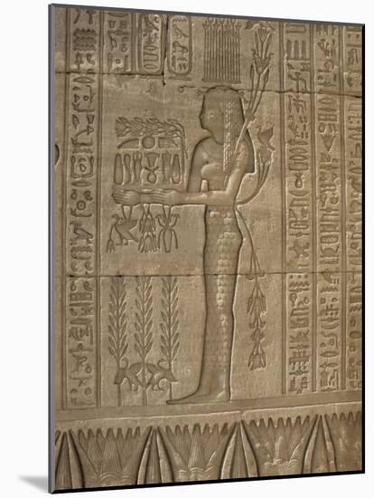 Relief Carving of Offerings Being Made, Temple of Hathor, Dendera, Egypt, North Africa, Africa-Julia Bayne-Mounted Photographic Print