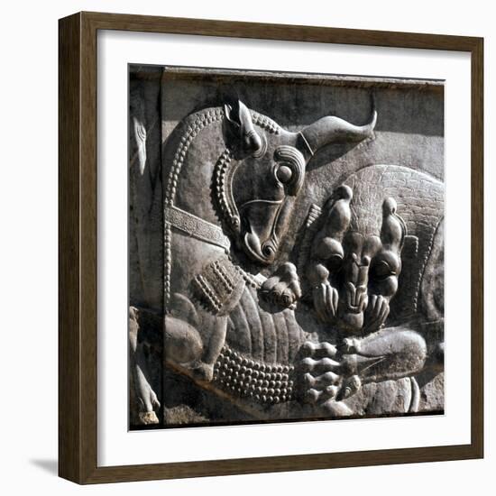 Relief carving, ruins of the ancient Persian city of Persepolis, Iran, first half of 5th century BC-Werner Forman-Framed Photographic Print