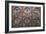 Relief Decoration on the Entrance to St Stephen's Basilica-null-Framed Giclee Print