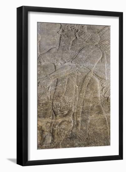 Relief Depicting a Winged Genie, from the Palace at Nimrud (Kalah) (Gypsum)-null-Framed Giclee Print
