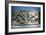 Relief Depicting Greek Soldiers Fighting Amazons-null-Framed Photographic Print