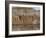 Relief Depicting the God Ahuramazda, Palace of King Darius, Persepolis-null-Framed Photographic Print