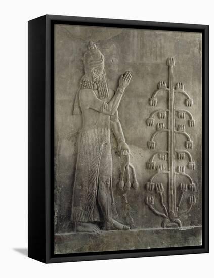 Relief du palais de Sargon II : génie portant un fleur de pavot-null-Framed Premier Image Canvas