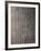 Relief from Ashurbanipal's Palace in Nineveh, Iraq-null-Framed Giclee Print