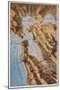 Relief Map of Bay Area, San Francisco, California-null-Mounted Art Print