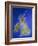 Relief Map of the United Kingdom And Eire-Julian Baum-Framed Photographic Print