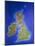 Relief Map of the United Kingdom And Eire-Julian Baum-Mounted Photographic Print