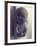 Relief of a Baby, 1968-Evelyn Williams-Framed Giclee Print