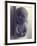 Relief of a Baby, 1968-Evelyn Williams-Framed Giclee Print