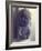 Relief of a Baby, 1968-Evelyn Williams-Framed Giclee Print