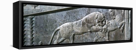 Relief of a bull being attacked by a lion, the Apadana, Persepolis, Iran-Vivienne Sharp-Framed Stretched Canvas