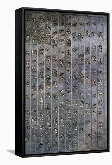 Relief of cuneiform text, the Apadana, Persepolis, Iran-Vivienne Sharp-Framed Stretched Canvas