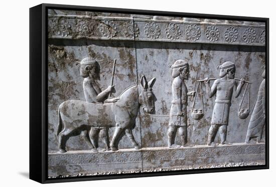 Relief of Indians, the Apadana, Persepolis, Iran-Vivienne Sharp-Framed Stretched Canvas