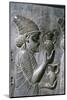 Relief of Syrians or Lydians, the Apadana, Persepolis, Iran-Vivienne Sharp-Mounted Photographic Print