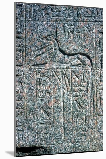 Relief on granite sarcophagus of Anubis, Memphis, Egypt, Middle kingdom period. Artist: Unknown-Unknown-Mounted Giclee Print